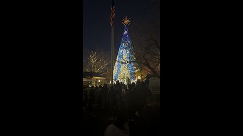 Silver Dollar City Christmas Tree 2024 Branson MO