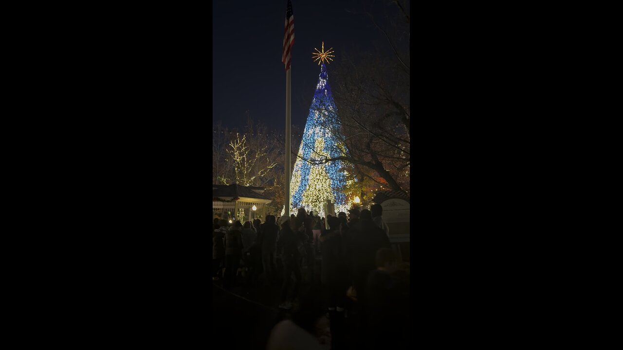 Silver Dollar City Christmas Tree 2024 Branson MO