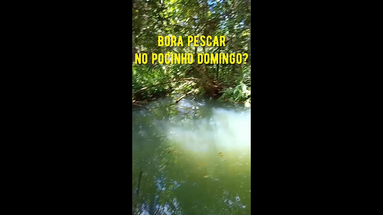 Bora pescar no pocinho, no domingo? Dali ja sai o tira-gosto hehehe 😅