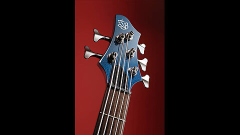 I Hired a Fiverr Bass Guitarist Book fiveer bass session musician