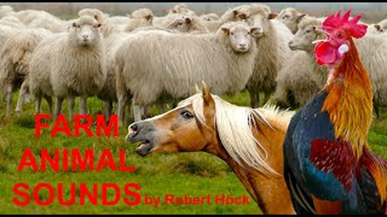 THE BEST FARM ANIMAL SOUNDS without music - ANIMAL VIDEO especially for small children