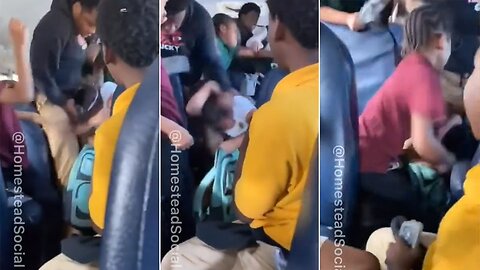 Brutal Beating On Bus By Black Super Predator Media Changes Color Of Fist