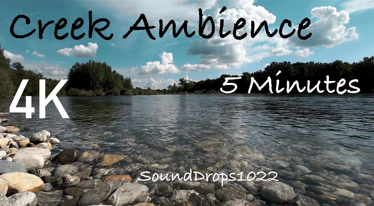 Tranquil Creek Ambience: 5 Minutes of Nature Sounds