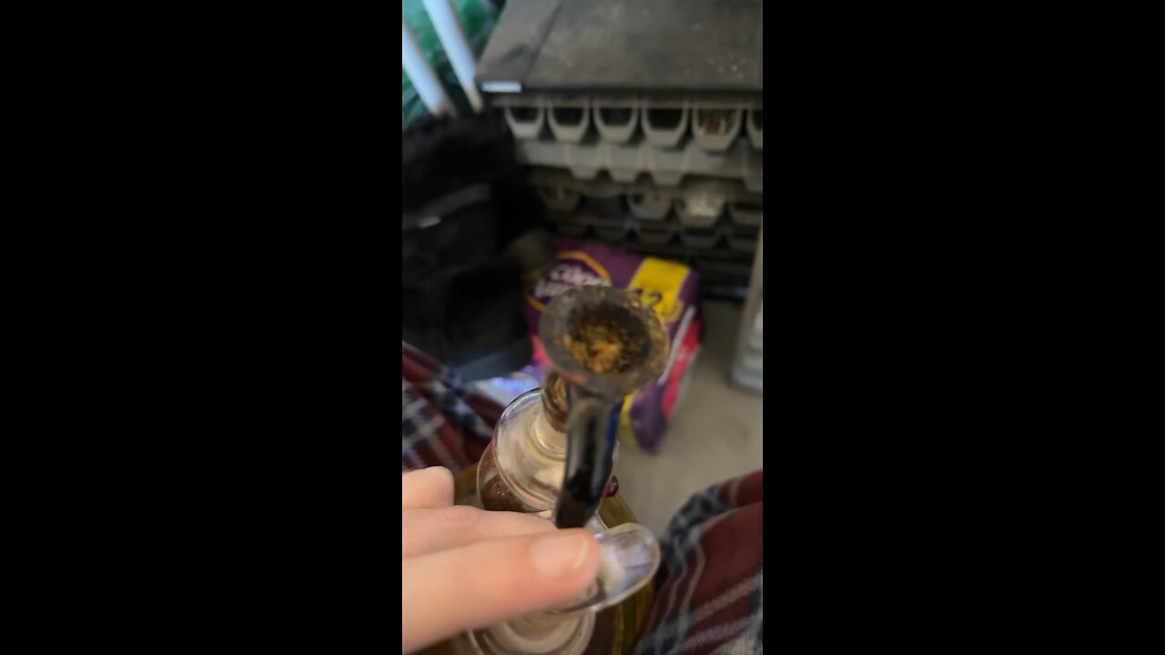 Day 12 Pre shower bowl