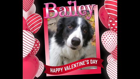 Woofs & Wags: Graphics for Furry Friends - Valentine's Day 2023