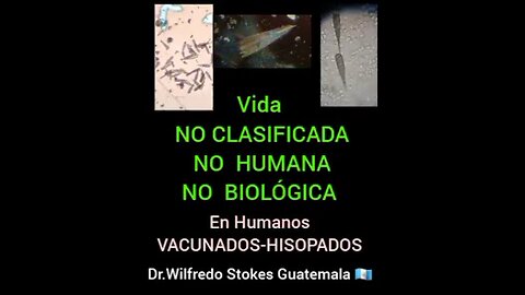 Dr. Wilfredo Stokes - Vida no clasificada cmo humana ni biológica en vacunados e hisopados PCR
