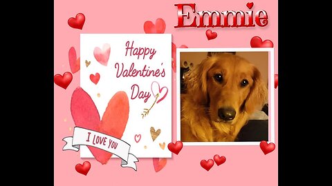 Golden Retrievers: Hearts of Gold - Valentine's Day 2023