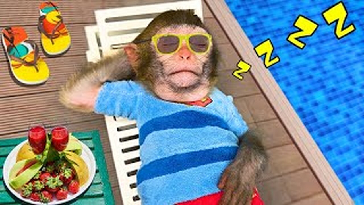 Baby monkey Bon Bon sleeping next to the pool and pretend to be Farmer with puppy and duckling