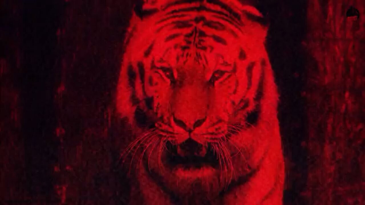 Watch out | Sidhu Moose Wala Ft Sikander Kahlon