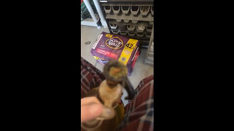 Day 16 This is the only way that works lol