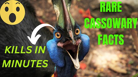 Rare Cassowary Facts