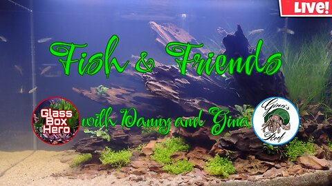 Fish & Friends with Danny and Gina