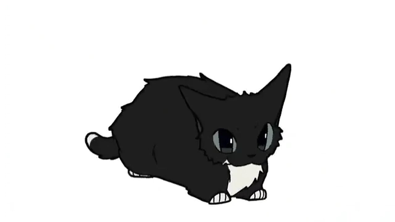 Cat :)