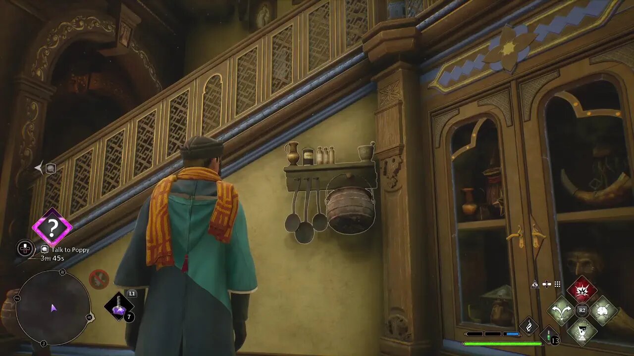 Hogwarts Legacy on ps5 by sheaffer117