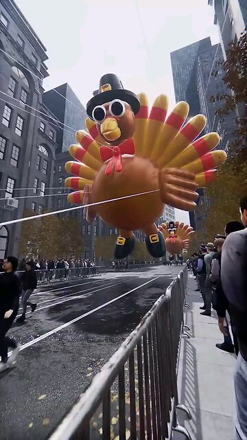 When the turkeys fight back 🦃