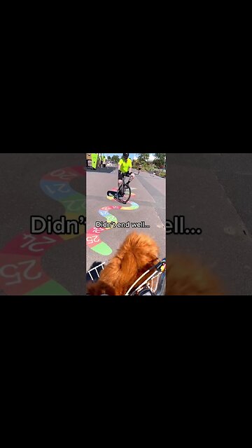 HYBRID BIKE CRASH 💥