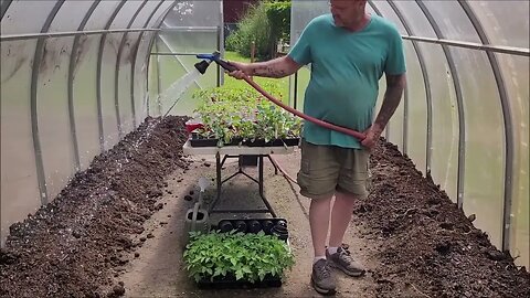 Prepping the High Tunnel and planting Tomatoes