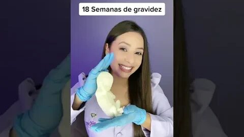 18 Semanas de gravidez, olha a maquete do tamanho real