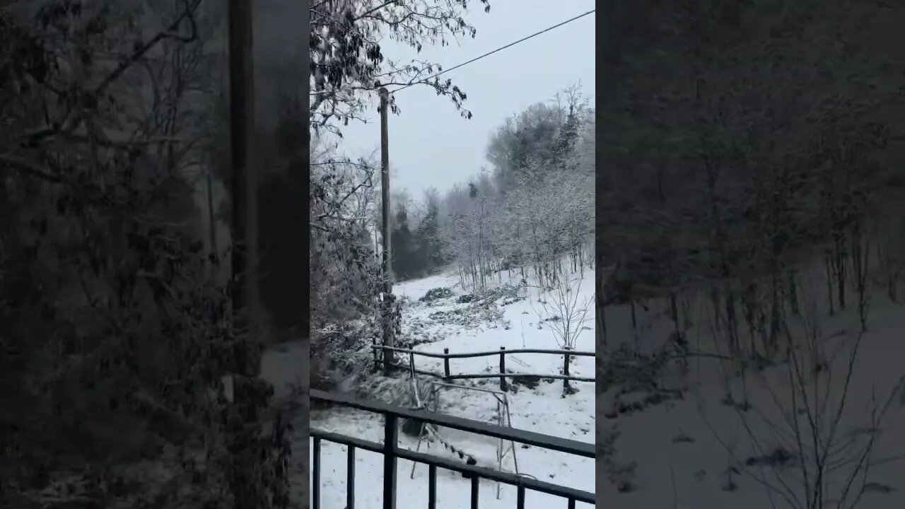 Pov: you just gave up career to live on a mountain ❄️😎