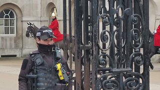 Horse starts to freak out on the change over #horseguardsparade