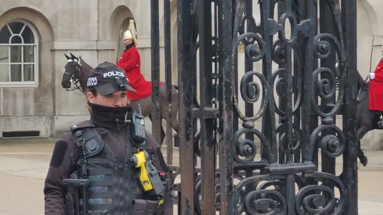 Horse starts to freak out on the change over #horseguardsparade