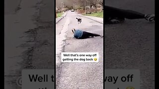 Trick. 😀 When your dog won't come to you.