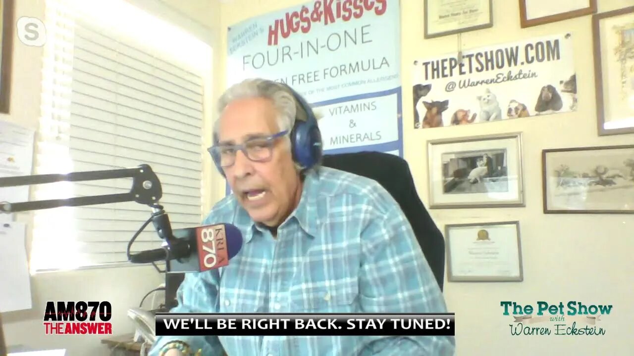 The Pet Show Live Stream 02-11-23