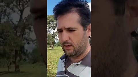 O juiz te autorizou a investigar o caso