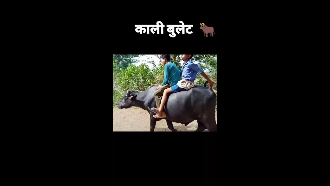 काली बुलेट😂🤣🤣