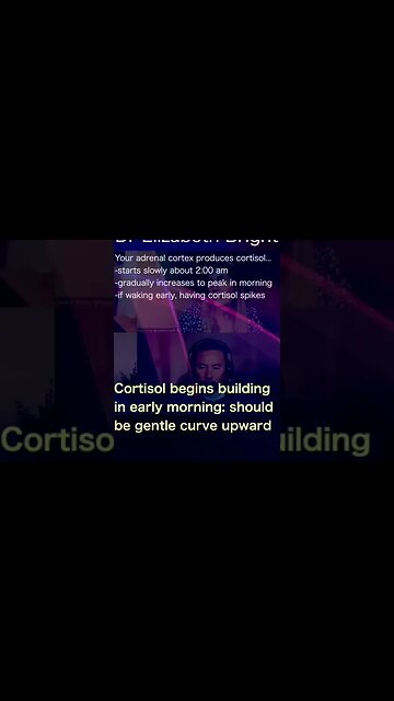 Dr Elizabeth Bright: The benefits of eating animal fats...helps with hormone regulation. #shorts