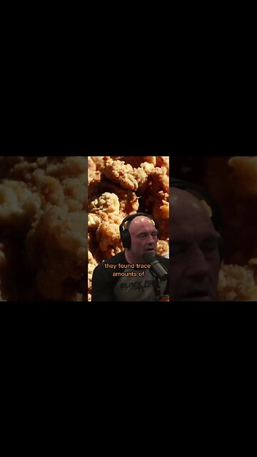Is eating animal testicles beneficial? Joe Rogan and Forrest Galante