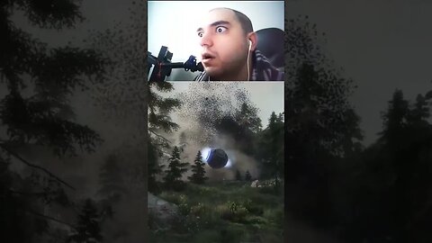 When You Eat The Wrong Mushrooms