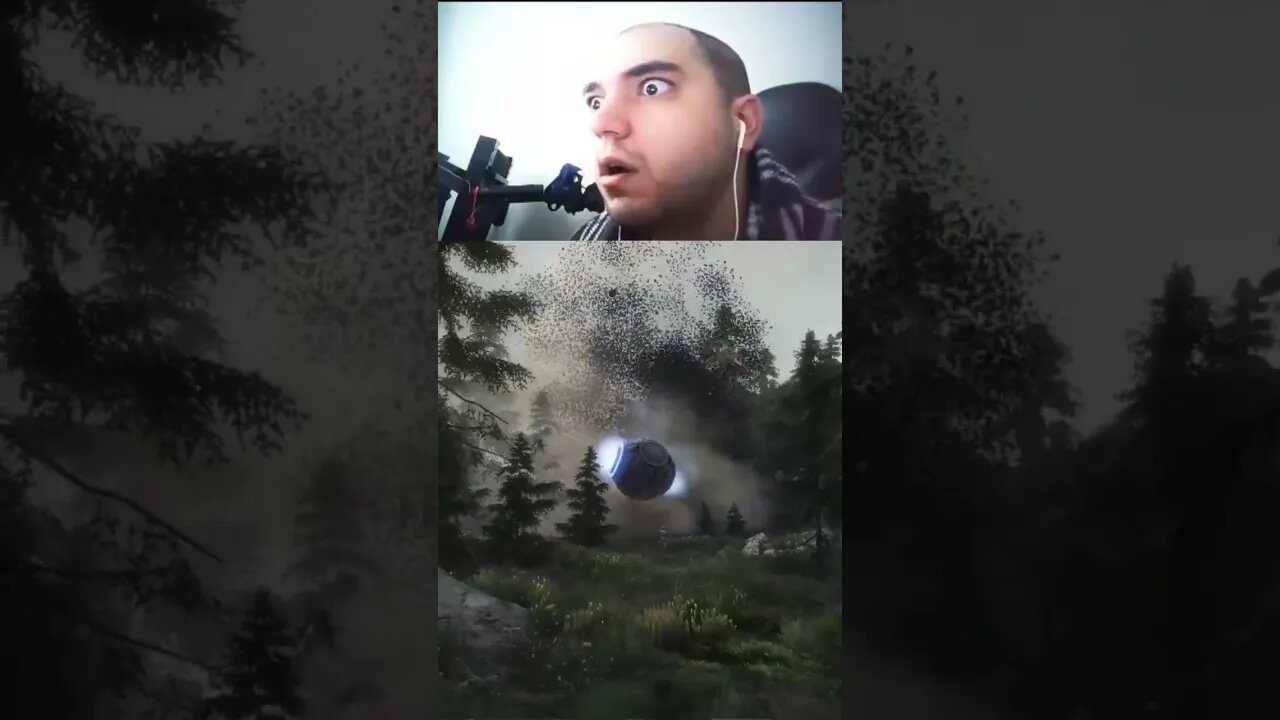 When You Eat The Wrong Mushrooms