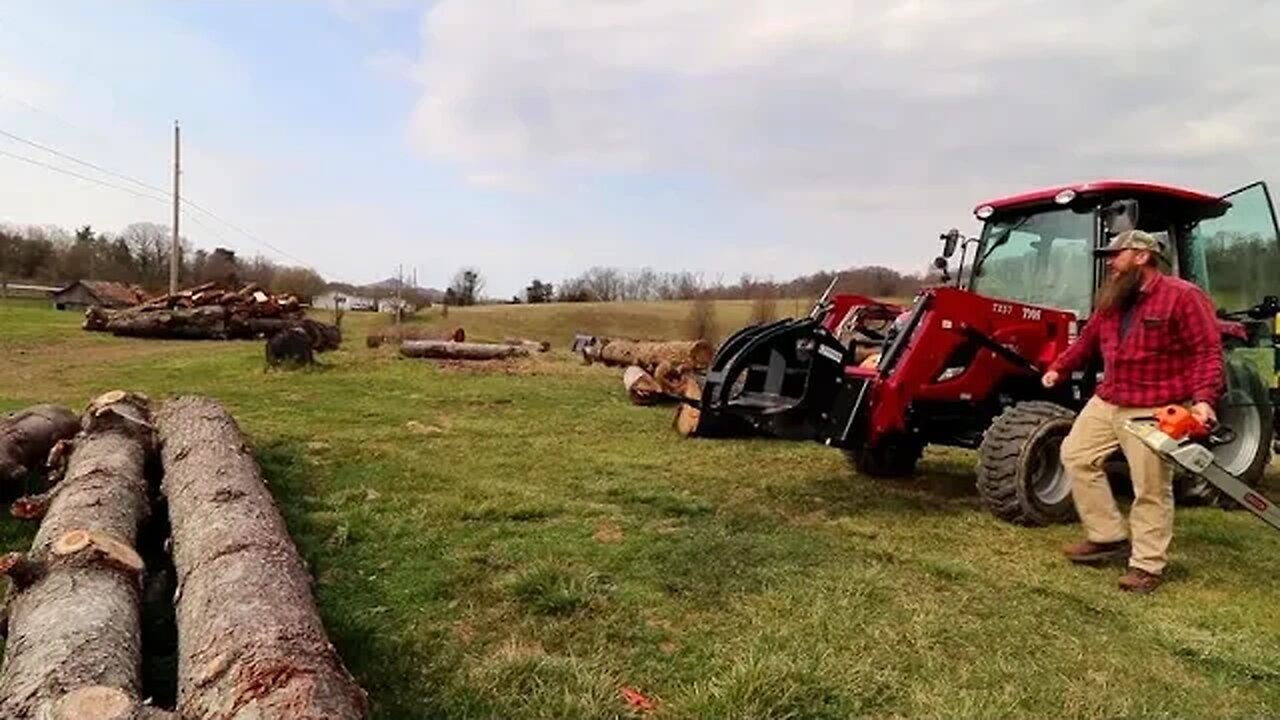 From The Forest To The Sawmill: How Boards Are Made