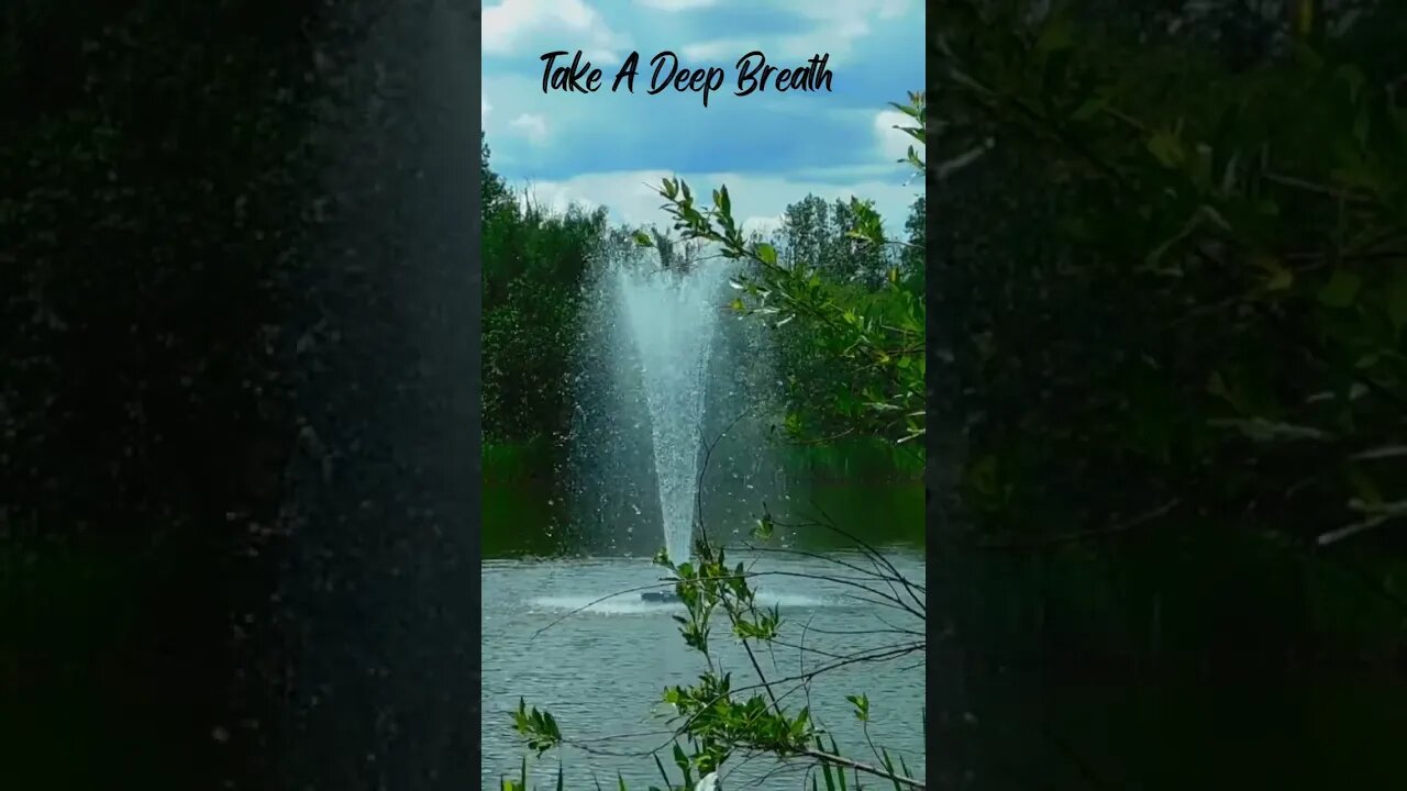 Take A Deep Breath 💙 Relaxing Zen Music with Peaceful Water Sounds #shorts