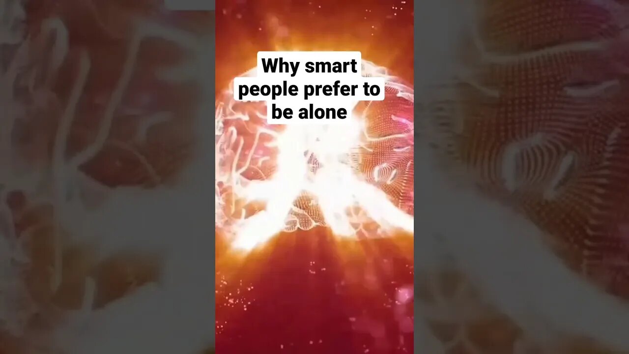 why smart people prefer to be alone.