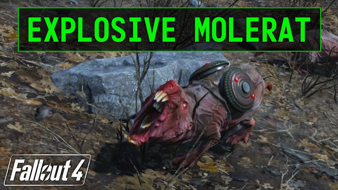 Fallout 4 | Explosive Molerat