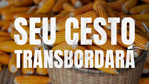 🔴IBAN🔴 SEU CESTO TRANSBORDARÁ