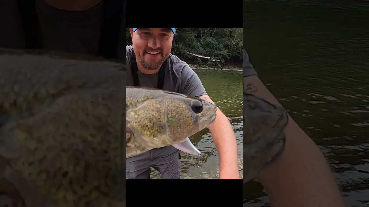 Sauger catch on the Little Miami River with Cincy Fish Dudes