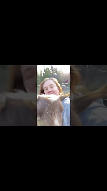 Having a bad day? We recommend a Charlie to hug! There are no sad days when you have a Charlie hug!