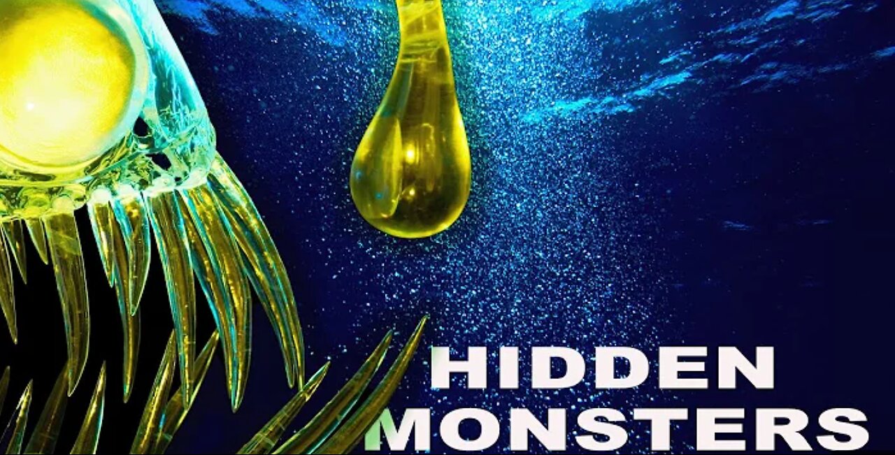 The Secret Wildlife Hidden In The Depth Of The Ocean : LIFE IN THE BLUE {Wildlife Documentry}