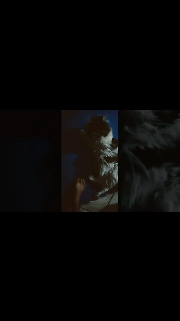 engenharia reversa do algoritmo vídeo #2027 Lil-Rom ressurge metal gear cat