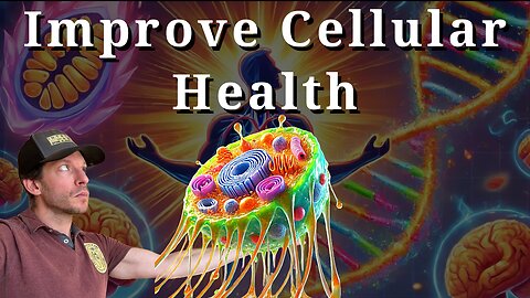 How to maximize Cellular Health to Improve Healthspan & Lifespan