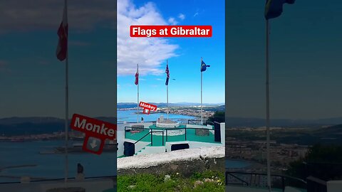 Gibraltar Flag #shorts