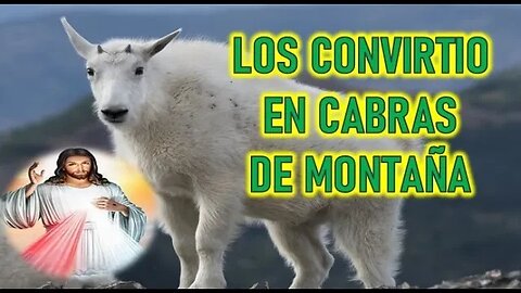 LOS CONVIRTIO EN CABRAS DE MONATAÑA - MENSAJE DE JESUS A MAJORIE DAWE