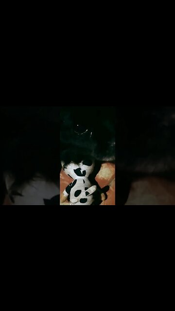 A Tobías no le gusta que le saquen su vaquita! 😂