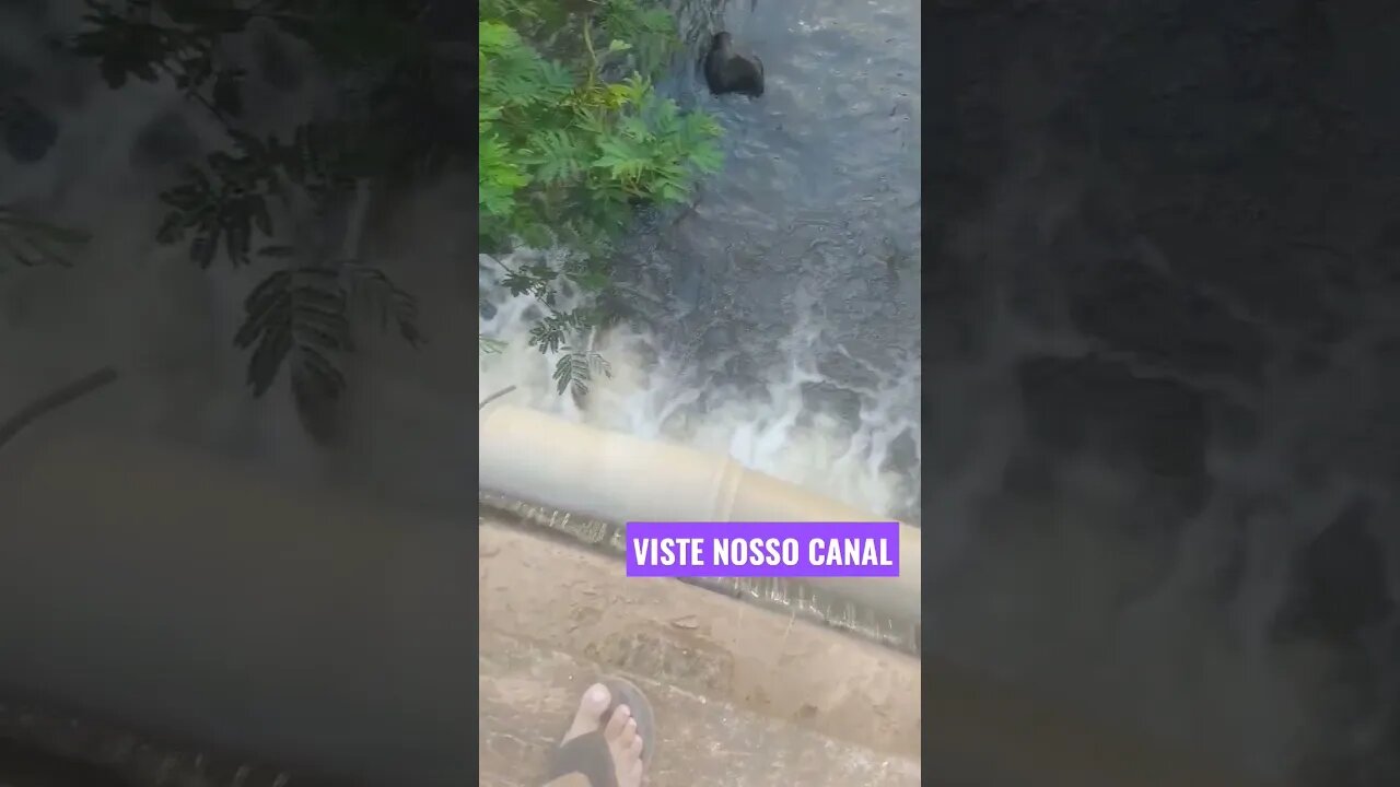 ✅As águas do nosso rio Santana continua a descer, #belezas do nordeste🌵🌞