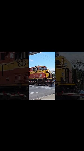 Florida East Coast Railway FEC-105 exiting Daytona Beach Golf Club February 4 2023 #railfanrob