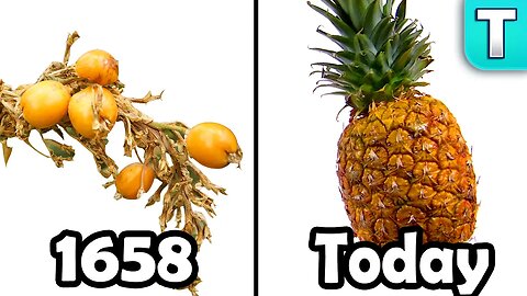 55 Wild vs Domesticated Plants