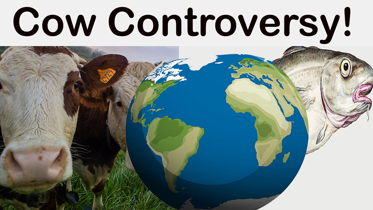 ADDITIVE FOR THE COWS CONTROVERSY UK! - Read 1 December 2024